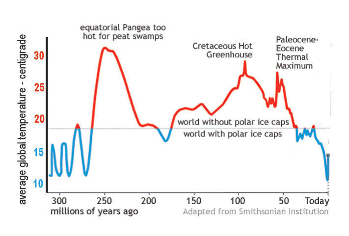 Average global temperature