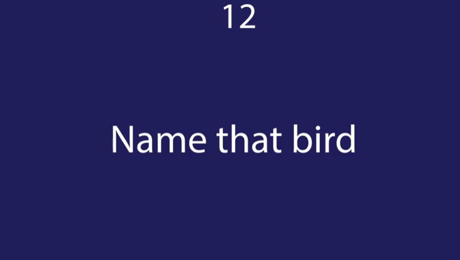name the birds