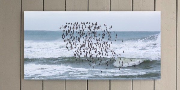 Knot Cluster