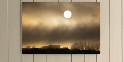 Haar