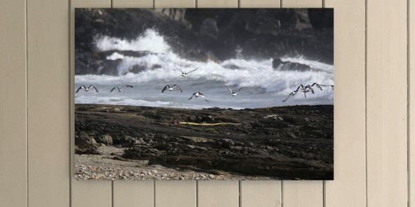 Carraig